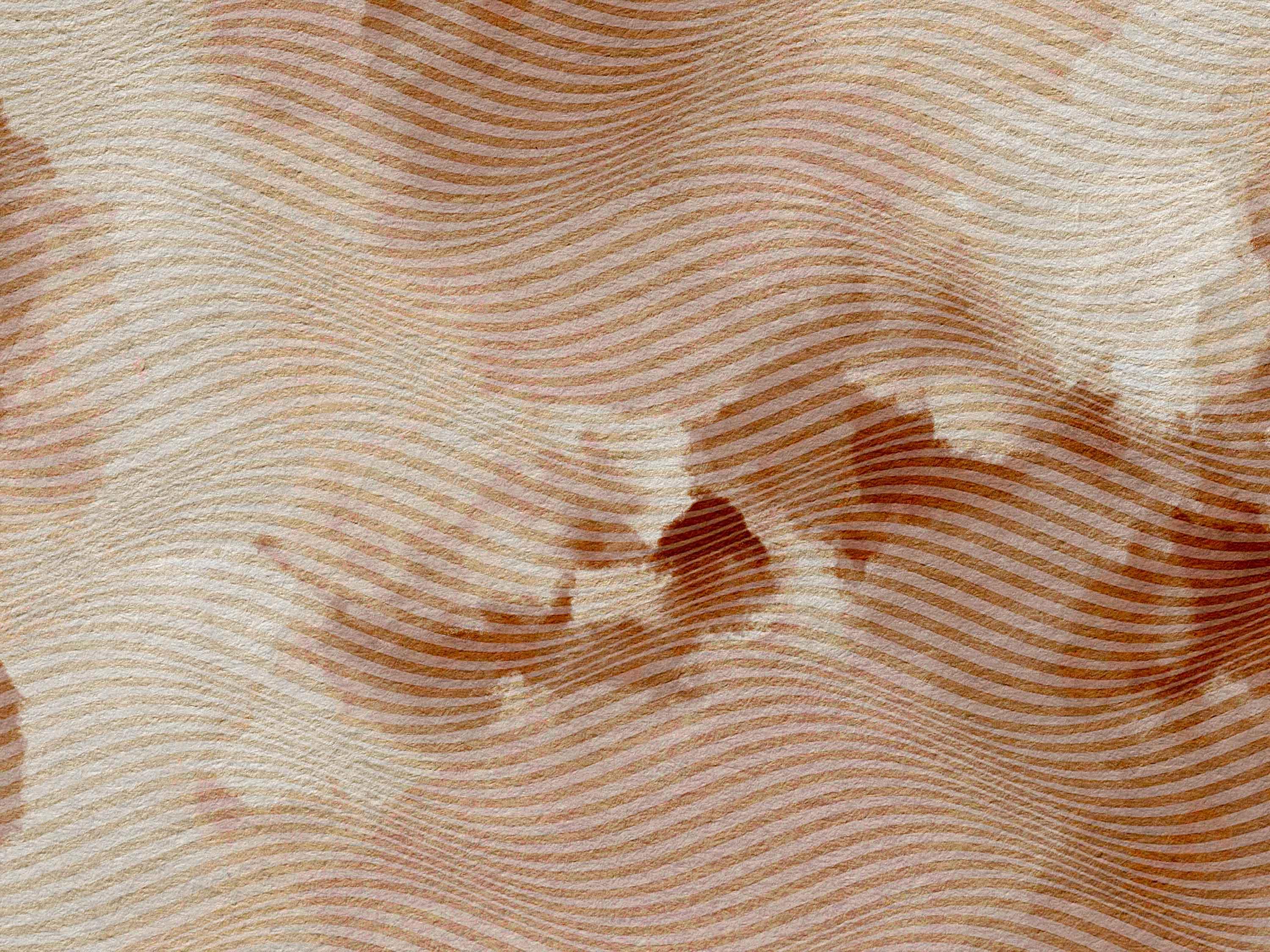 Desert Waves